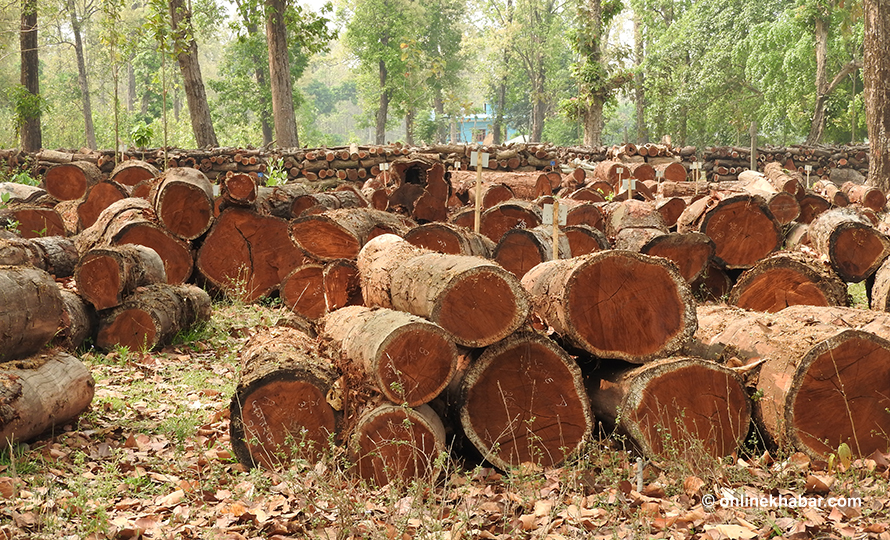 वन पैदावरमा ९० प्रतिशतसम्म कर लगाएकोमा विरोध