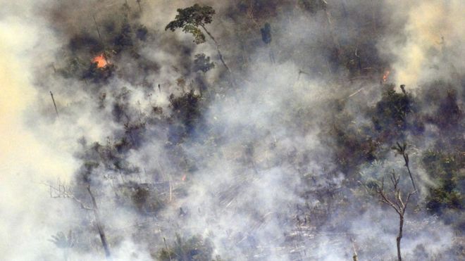 अमेजनको जंगलमा लागेको डढेले नियन्त्रण गर्न सहयोग गर्ने सहमति