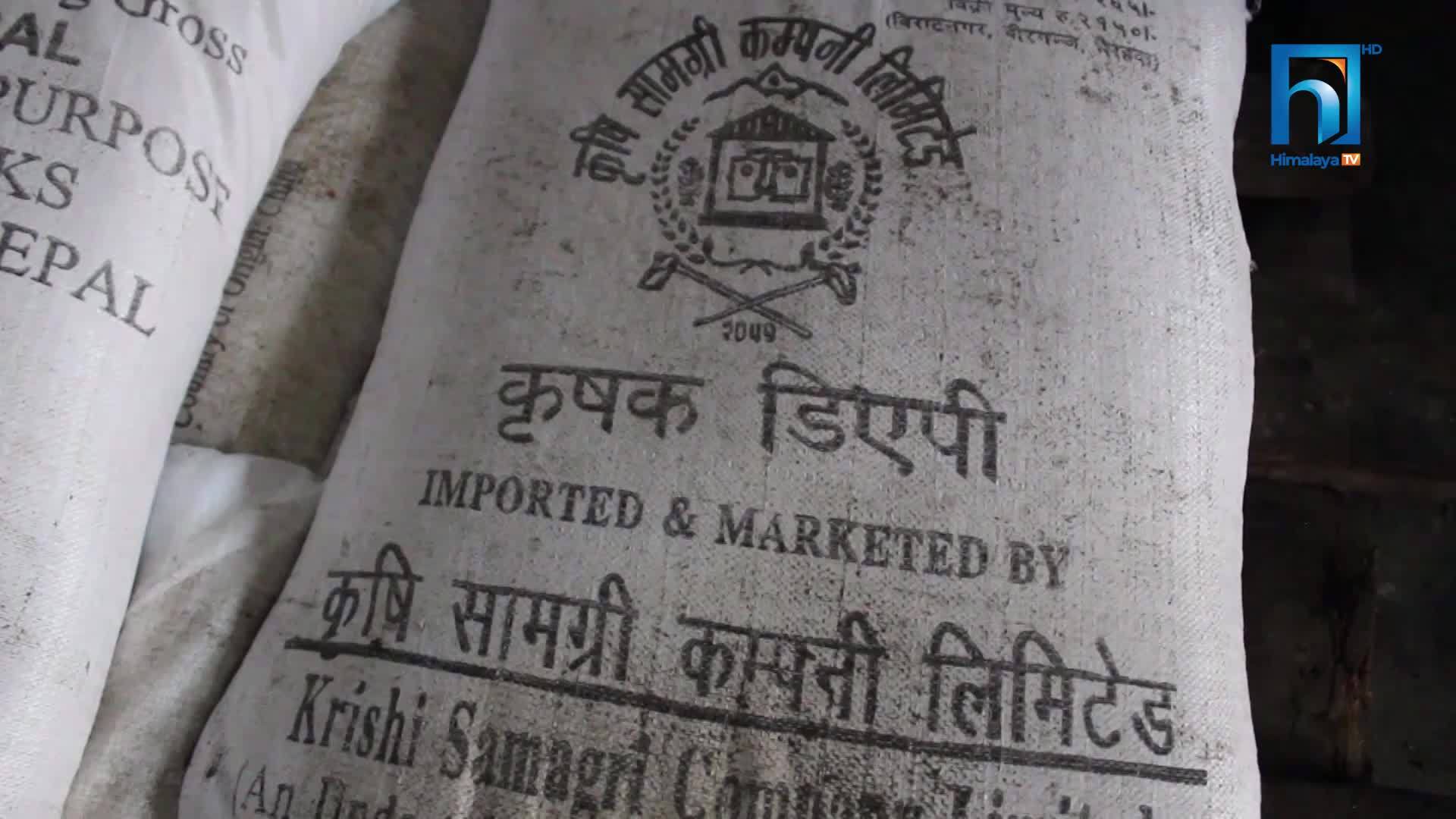 खेती लगाउने बेला मल अभाव भएपछि किसान तनावमा (भिडियोसहित)