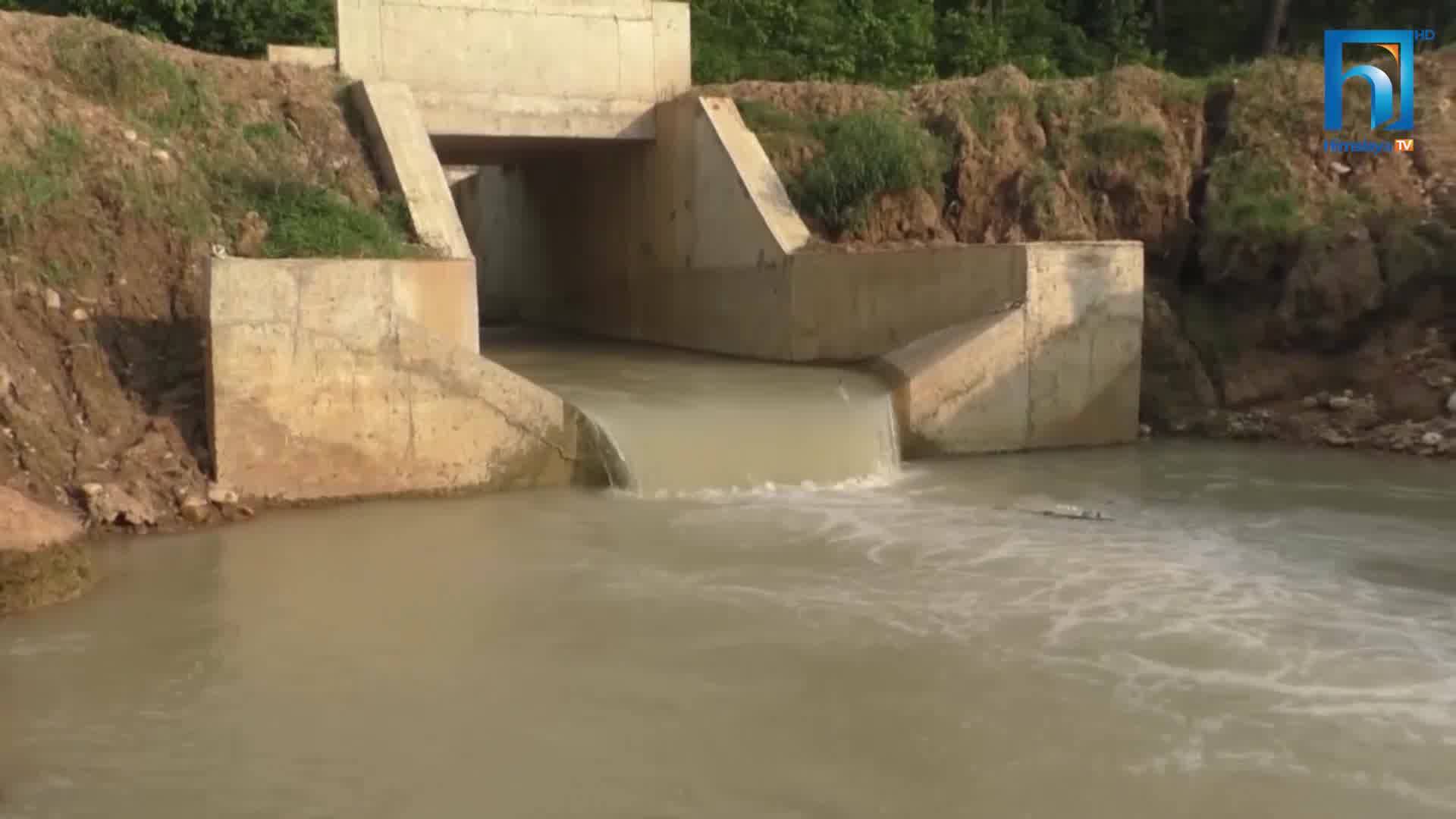 वर्षैभरि सिंचाइ सुविधा पाएपछि बाँकेको बैजापुरका किसान दङ्ग, बढ्यो उत्पादन (भिडियोसहित)