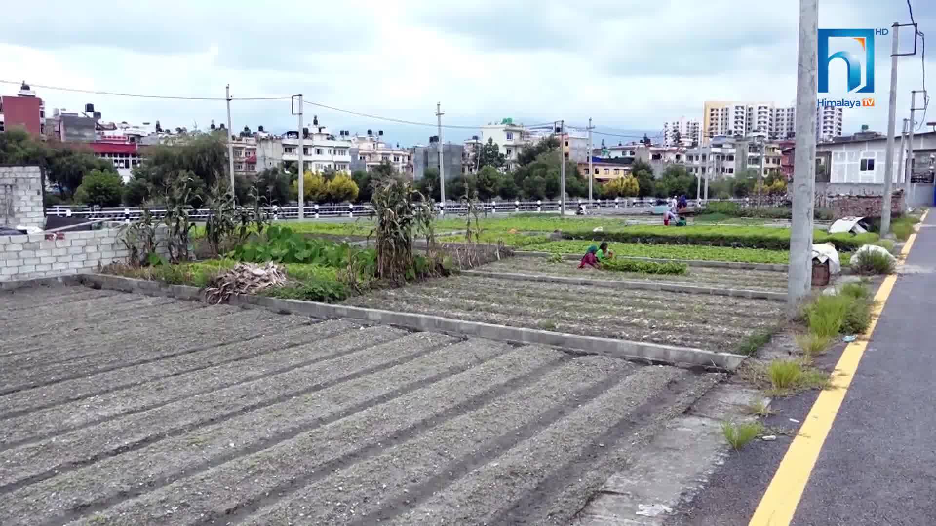 बाँझो जमिन ‘लिज’मा उपलब्ध गराइने