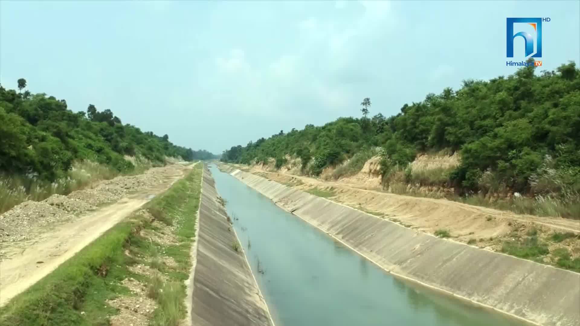 सिक्टा सिंचाइ आयोजनाको पानी कचनापुर र शम्मेशरगञ्जका किसानले पाएन (भिडियोसहित)