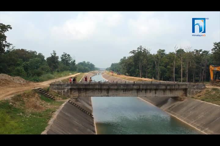 मूल नहरमा पानी चलेपछि किसान उत्साही, शाखा नहर नबन्दा हजारौ किसान मर्कामा (भिडियोसहित)