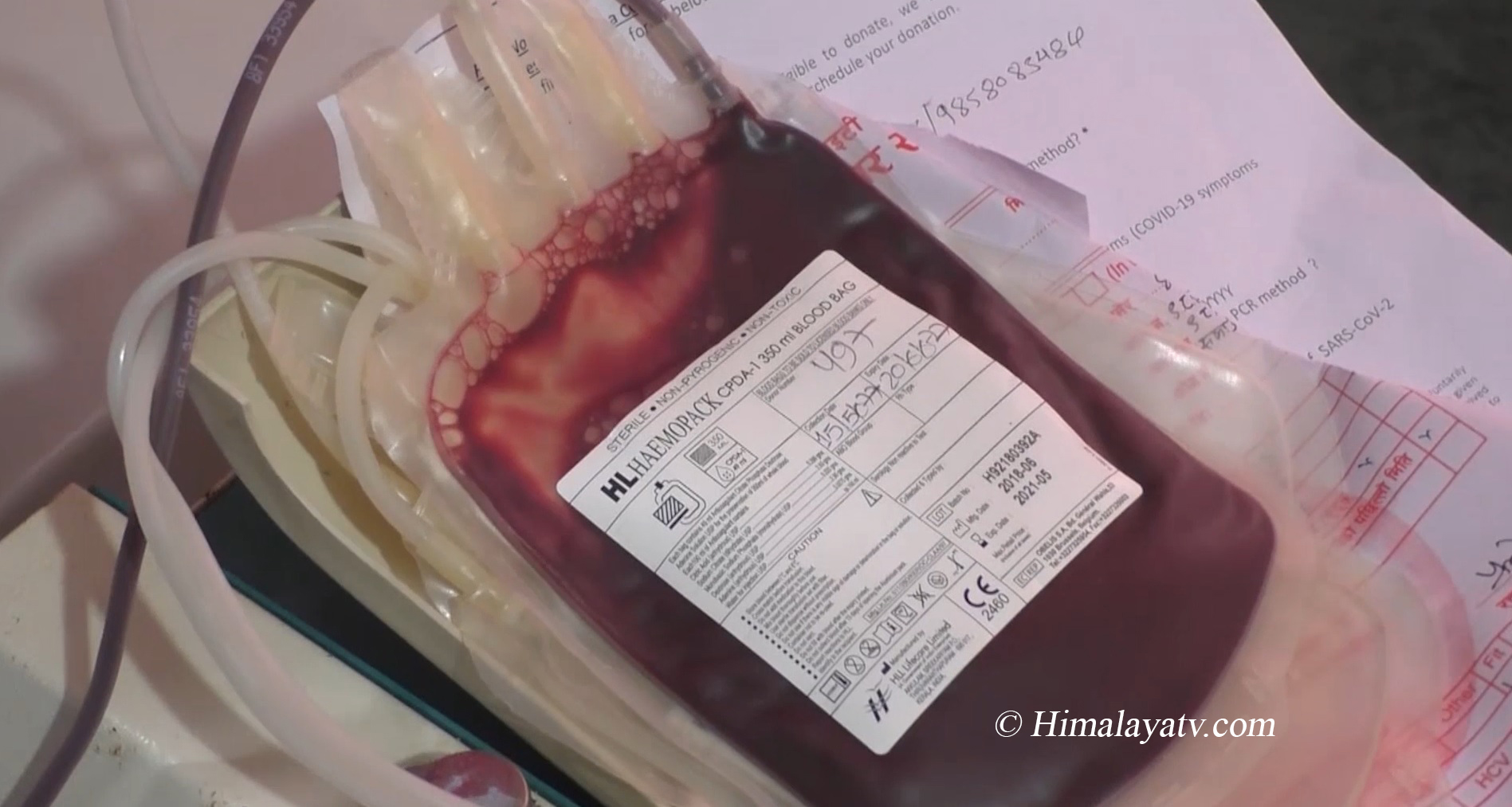 कोरोनाका कारण रक्तदान नहुँदा  प्रदेश १ मा रगत अभाव