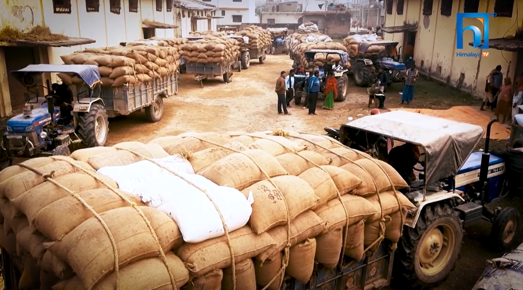 किसानको भेषमा धान बेचेर नाफा उठाउँदै व्यापारी (भिडियोसहित)