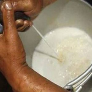 आज विश्व दूध दिवस मनाइँदै