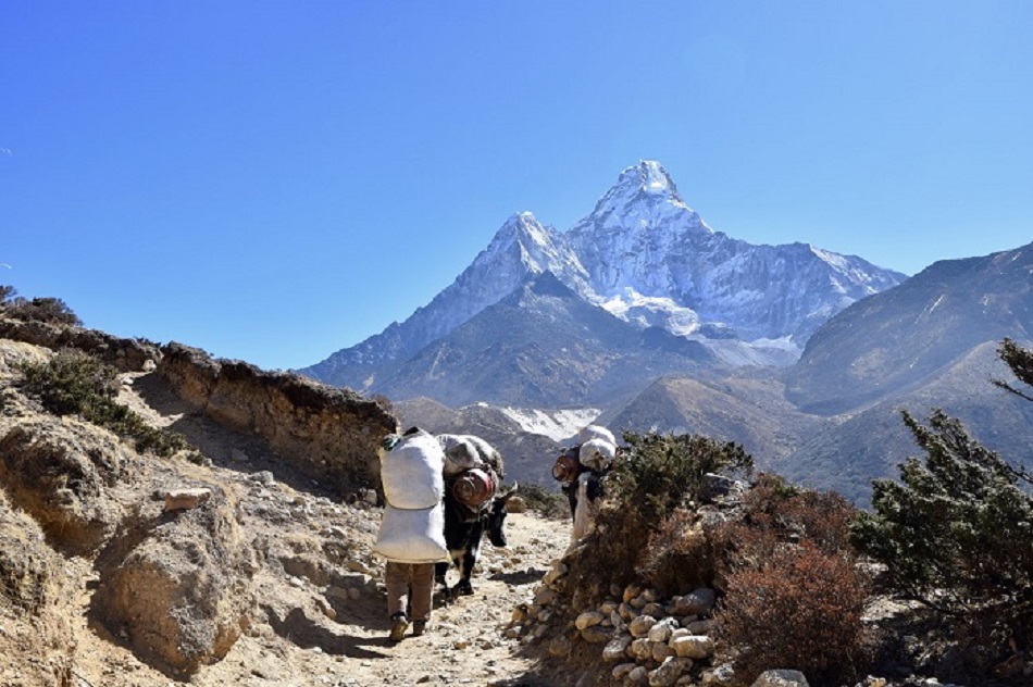 पदयात्रा मजदुरका गुनासो : ‘न काम न माम’