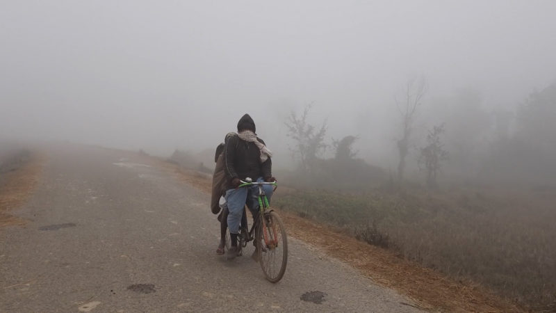 शितलहरका कारण ज्यालादारी गर्नेहरुको दैनिकी कष्टकर (भिडियोसहित)