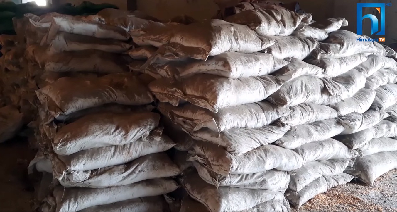 किसानलाई मल छैन, भन्सारमा नष्ट गर्ने तयारी (भिडियो)