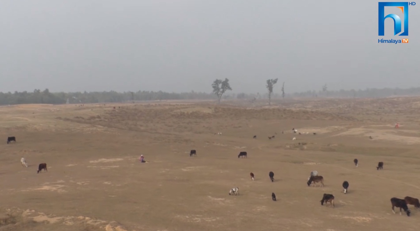 यस्तो छ बाँकेमा प्रदेशस्तरीय औद्योगिक क्षेत्र निर्माणको तयारी (भिडियोसहित)