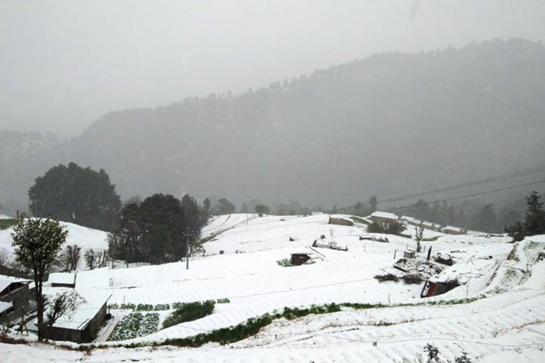 गोरखामा भारी हिमपात, जनजीवन प्रभावित