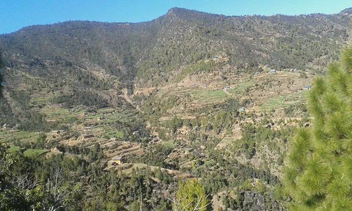 आन्तरिक पर्यटकको रोजाइमा पातीहाल्ना