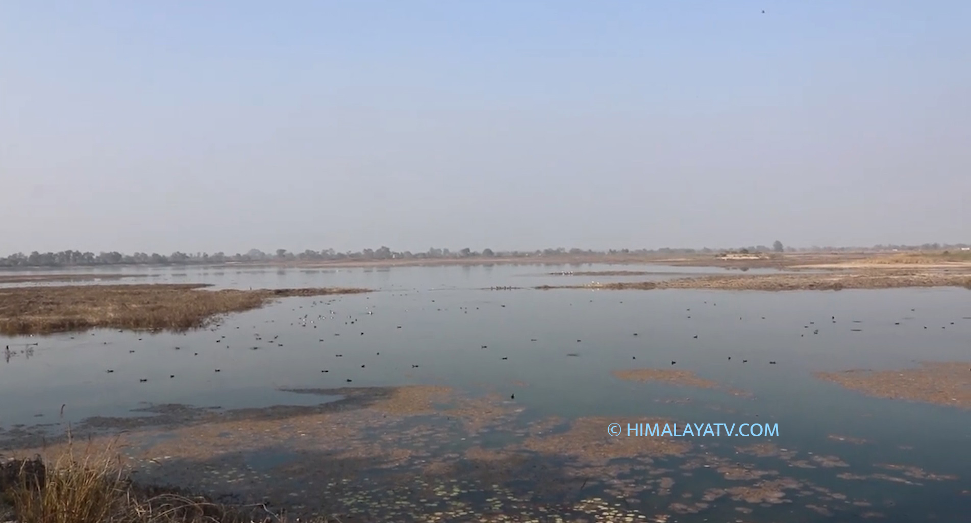 आज विभिन्न कार्यक्रमसहित विश्व सिमसार दिवस मनाइँदै