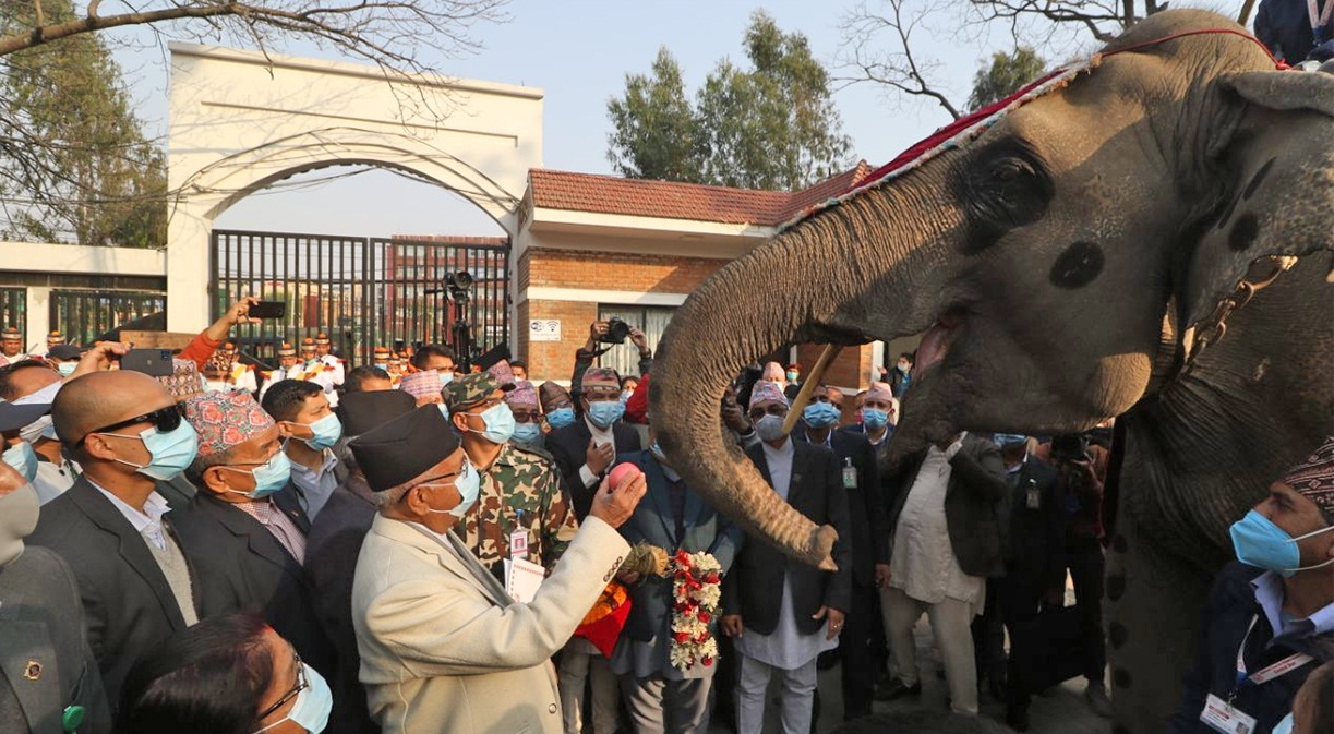 कस्तो रह्यो ओलीको चिडियाखाना यात्रा, एउटा गैंडाको एक वर्षको खाना र उपचारको लिए जिम्मा