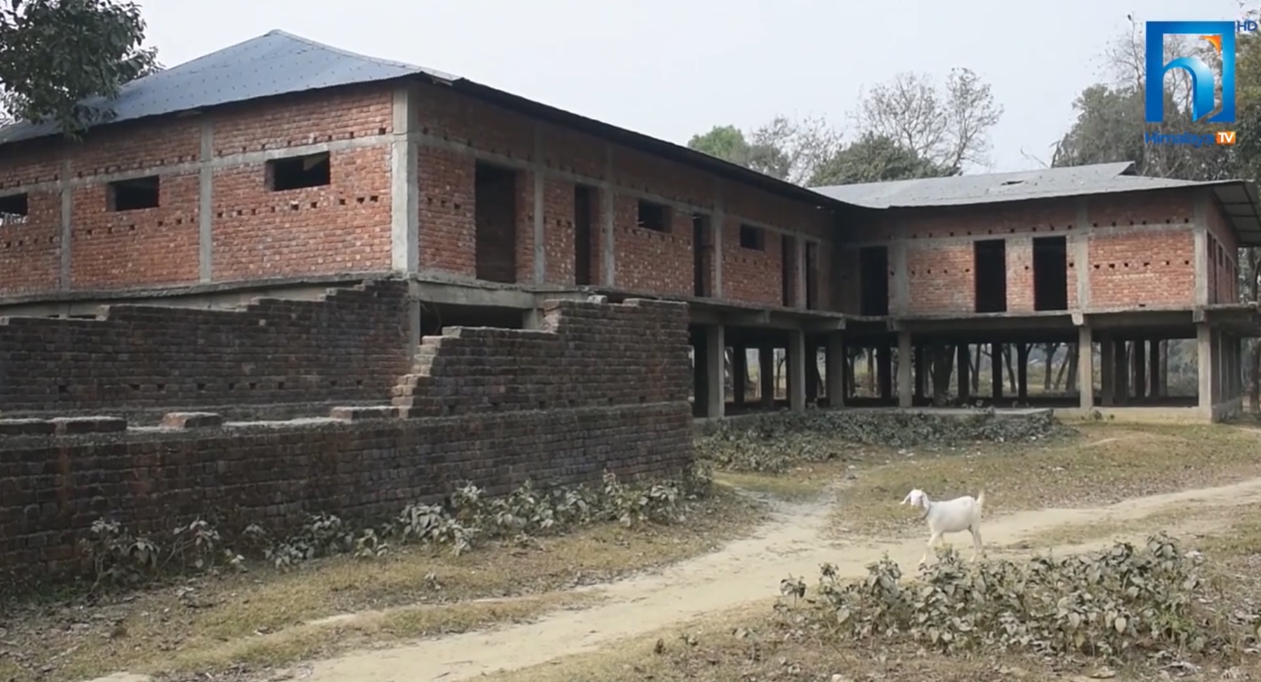 विराटनगरमा निर्माणाधिन वधशाला एक दशकदेखि अलपत्र (भिडियो रिपोर्टसहित)