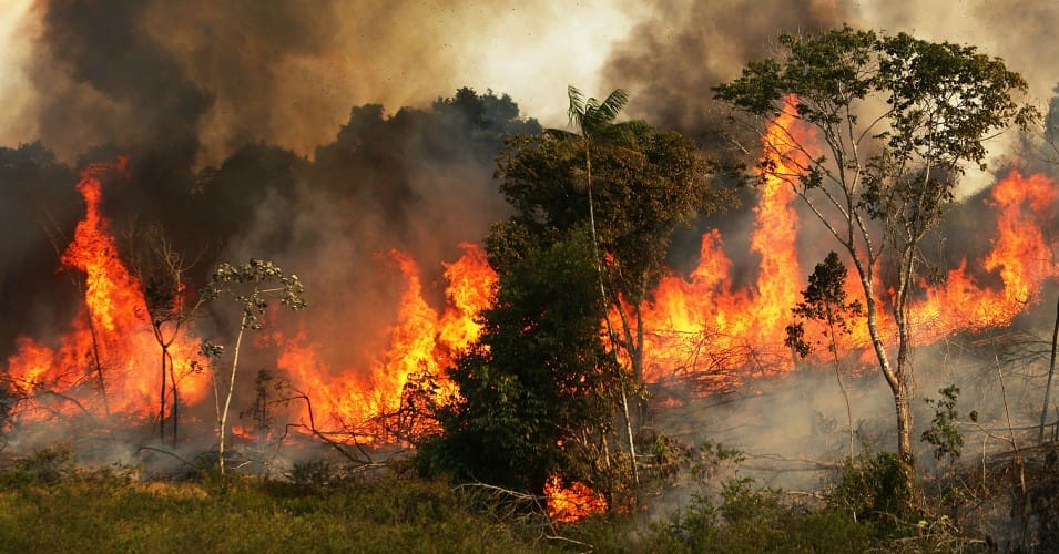म्याग्दीका ४७ सामुदायिक वनमा आगलागी : बाह्र सय हेक्टर वन क्षेत्रमा क्षति