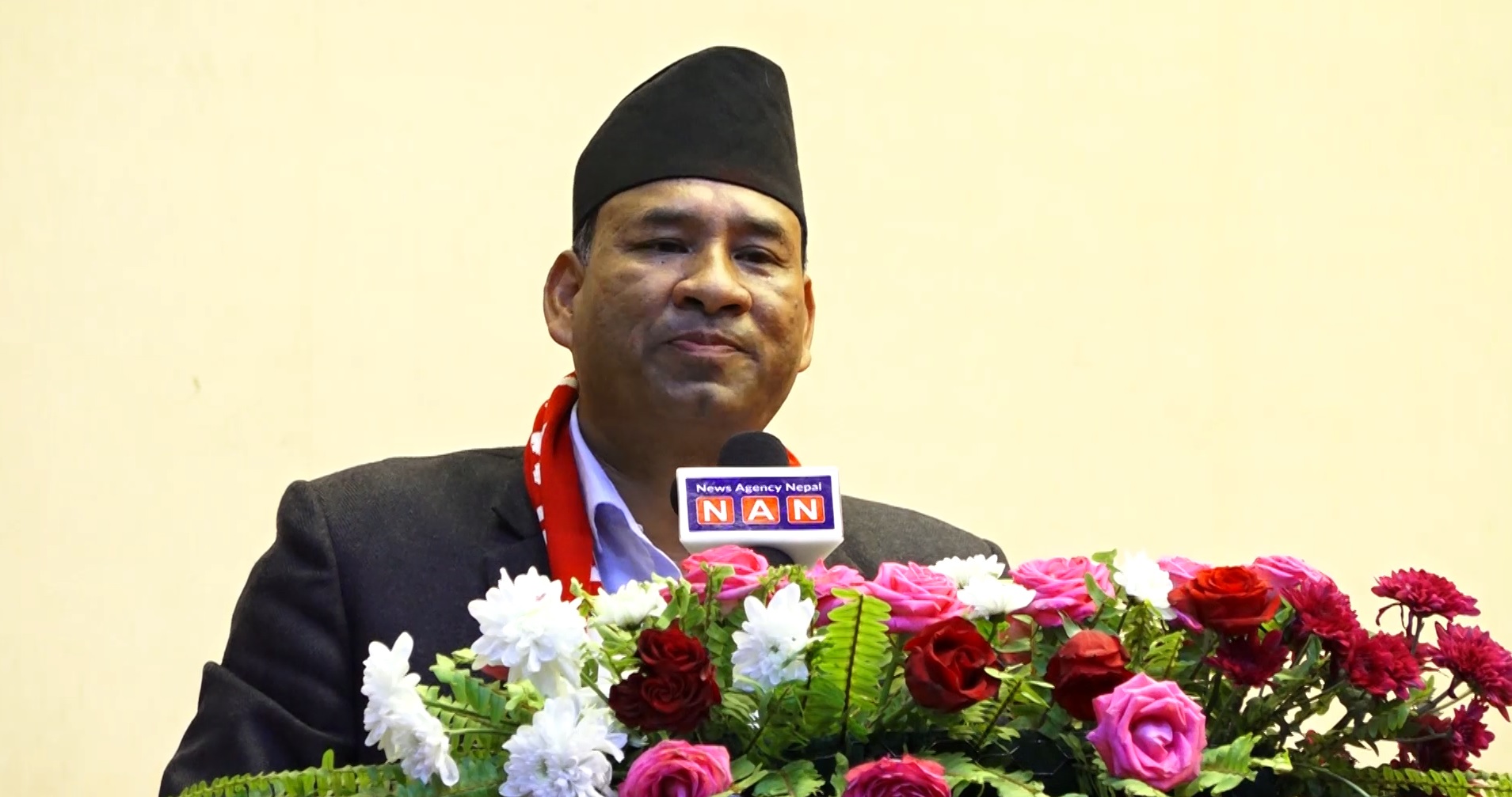 नेपाललगायतका नेता एमालेबाट चाँडै निष्काशित हुन्छन्ः नेता थापा (भिडियो रिपोर्टसहित)