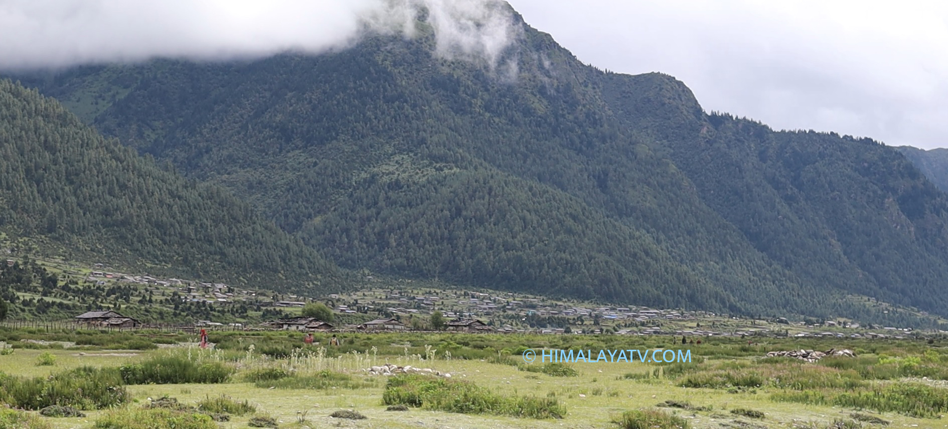 यसवर्षको सकियो सिकार याम, तीन झारलको सिकार भएन