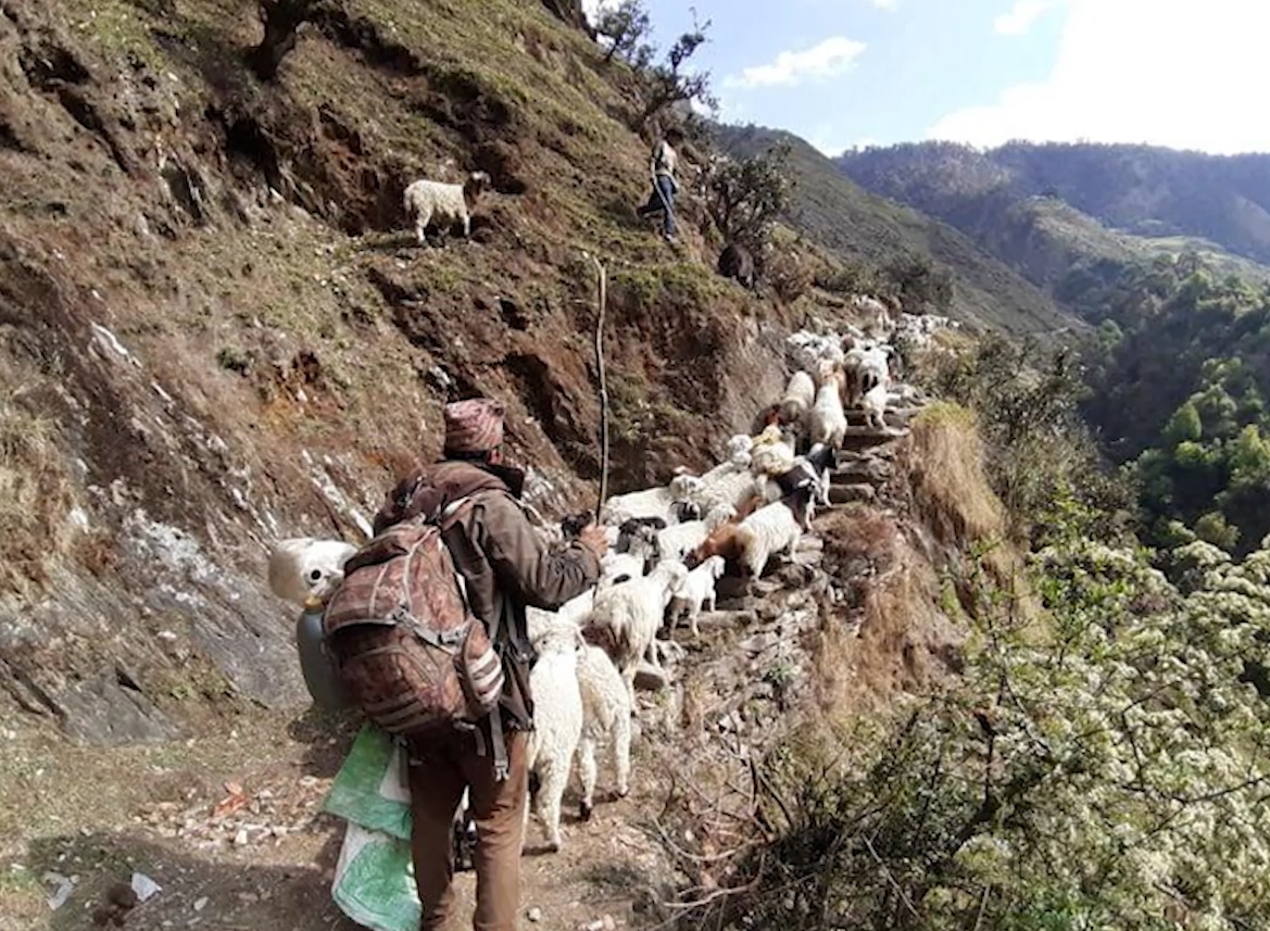 जाजरकोटको कुशे पाटनमा बेपत्ता भएका सात जनाको उद्धार