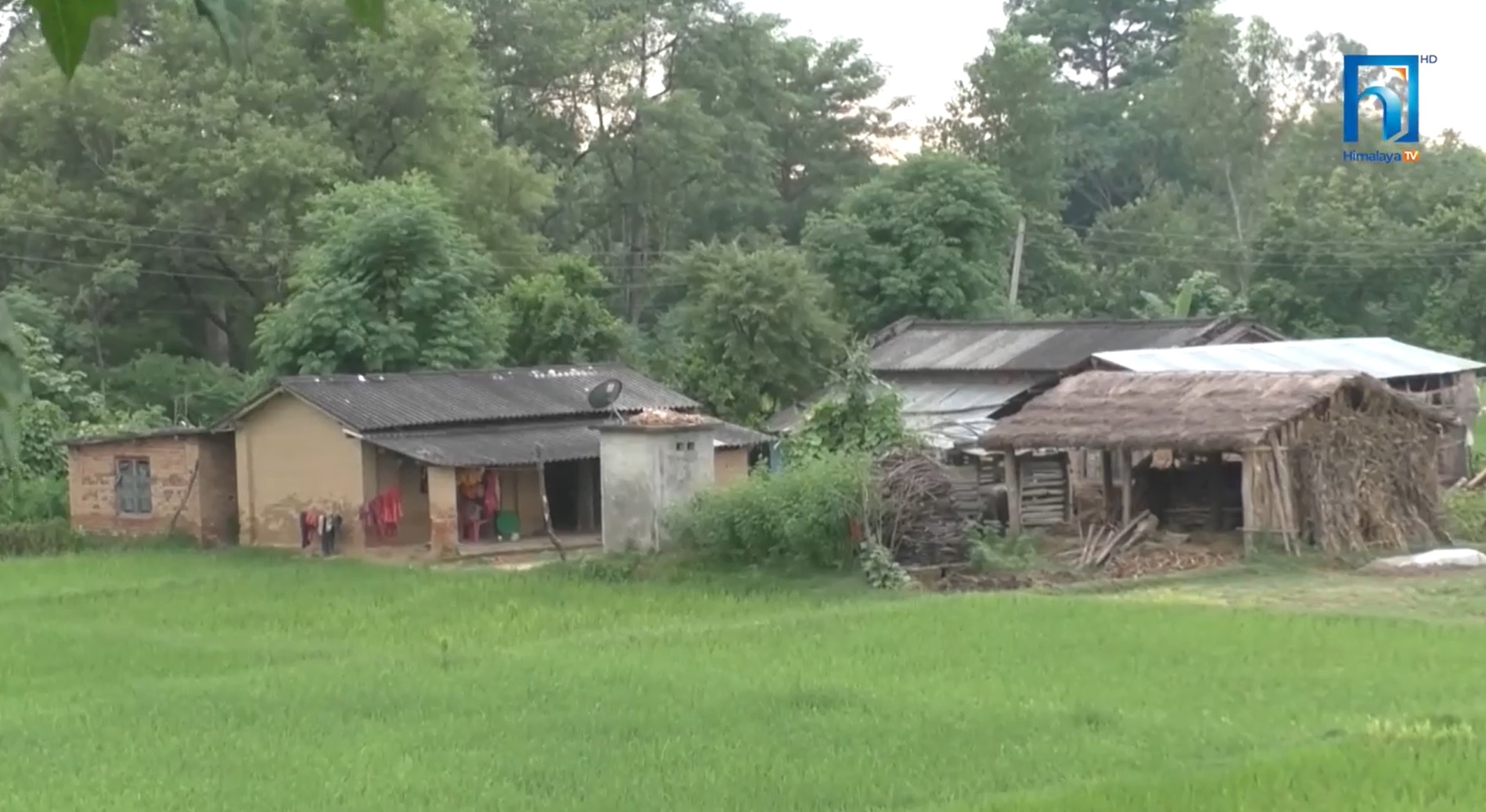 चुनावअघि आश्वासन, चुनावपछि सुकुम्बासीको यस्तो बेवास्ता (भिडियो रिपोर्टसहित)