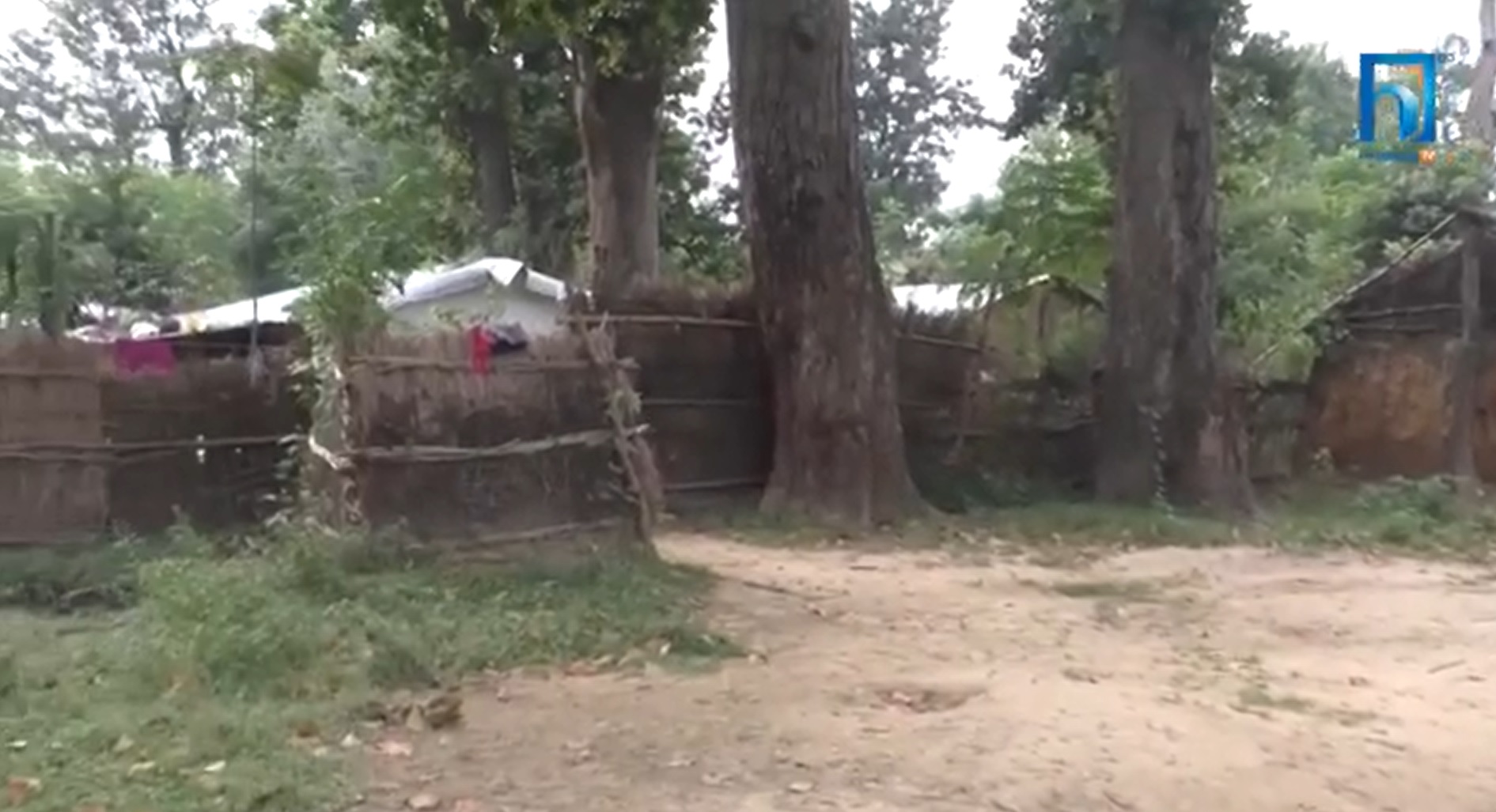 ३५० परिवार १५ वर्षदेखि झोरा जंगलमा, नेताको आश्वासनले गरेन काम (भिडियो रिपोर्टसहित)
