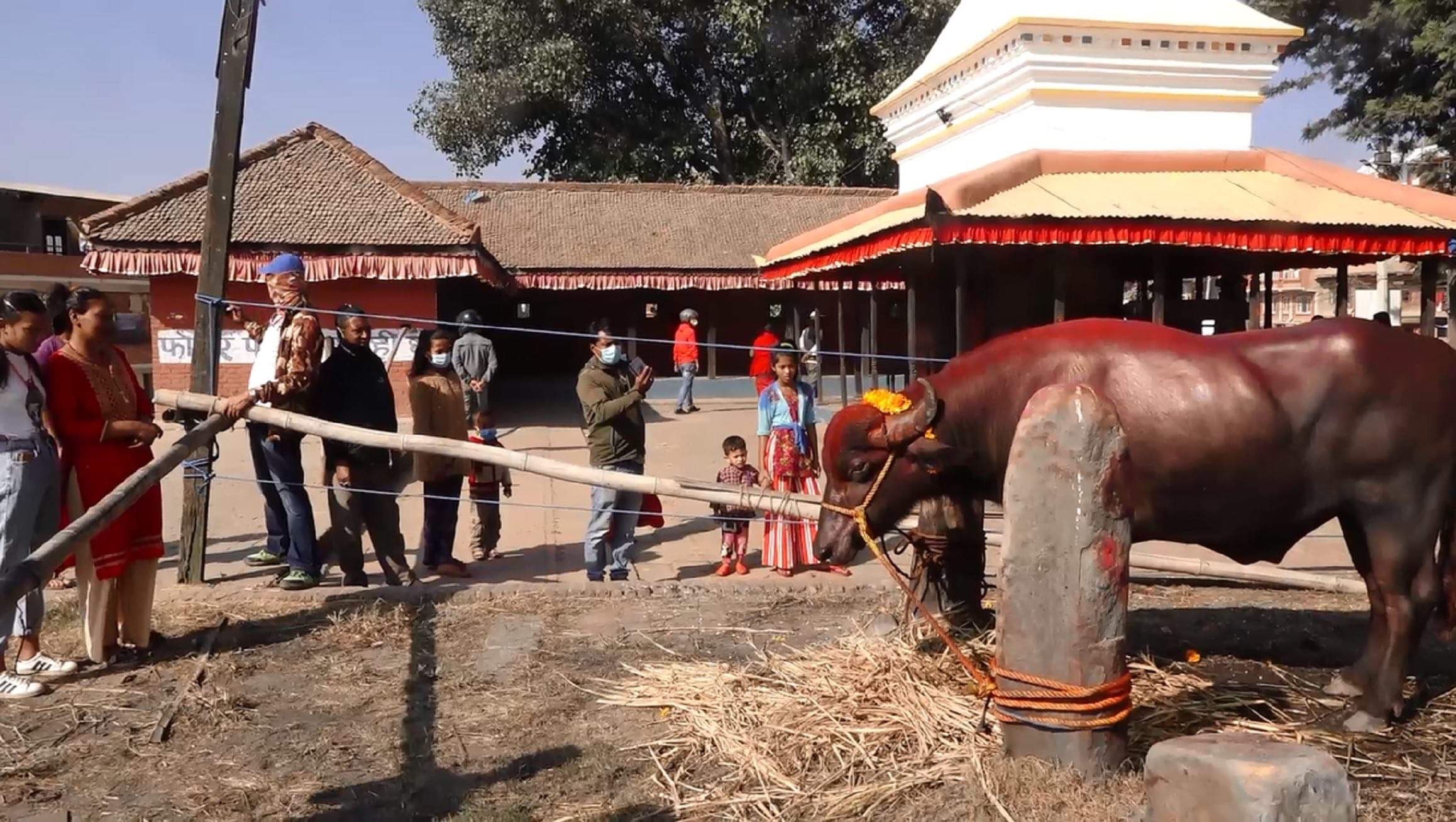 महानवमीको अवसरमा खःमेय् जात्रा मनाइँदै