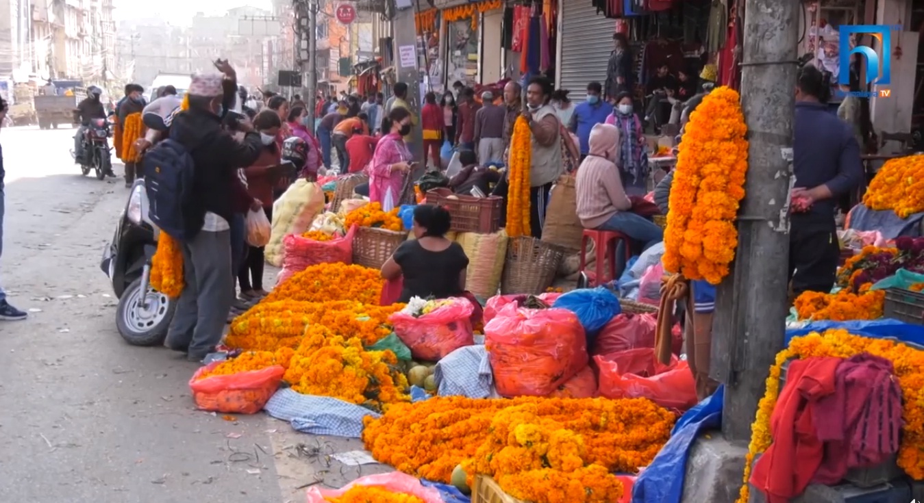 फूलैफूलको पर्व तिहार : लक्ष्मी पूजाको दिन जे देखियो (भिडियो रिपोर्टसहित)