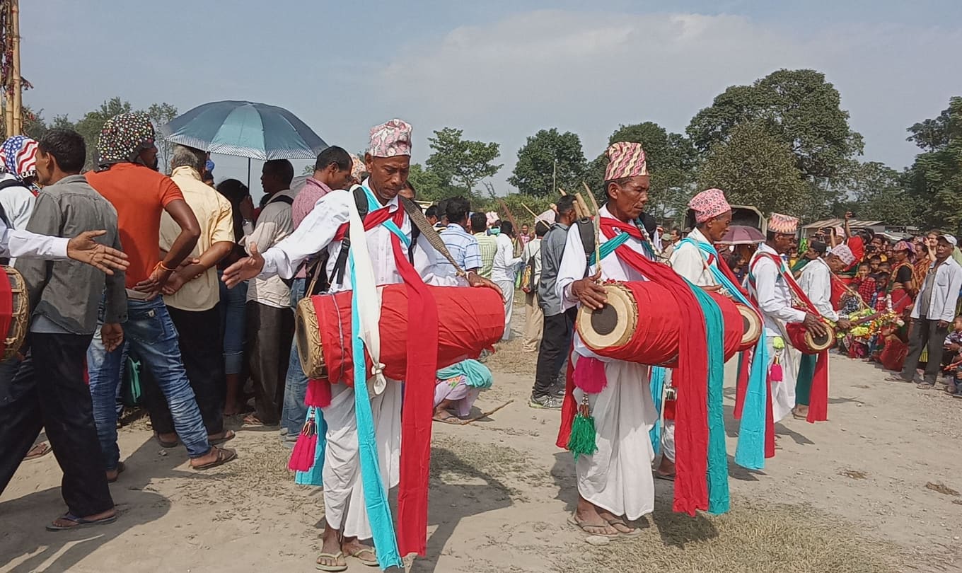 थारू समुदायको मेडरी नाच लोप हुने चिन्ता