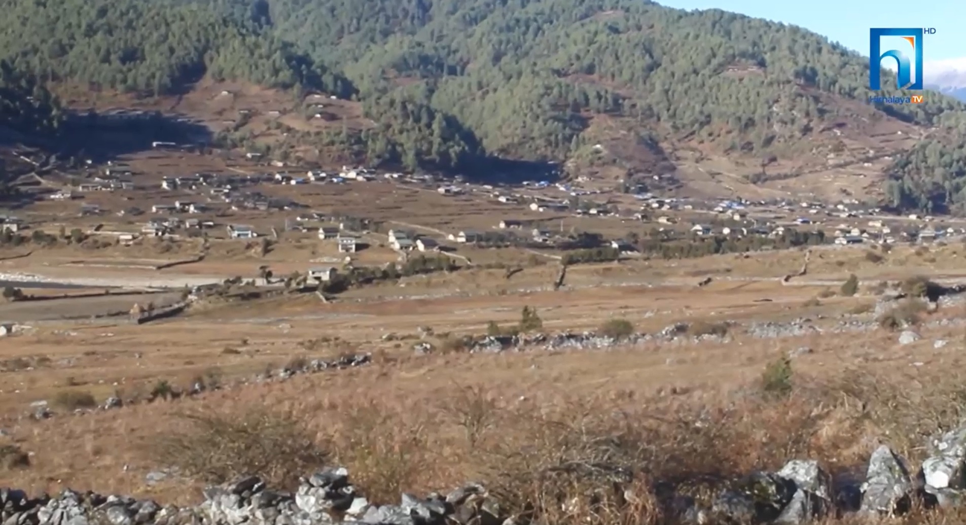 गाउँ नै रित्तो पारेर जाडो छल्न बेसीतिर (भिडियो रिपोर्टसहित)