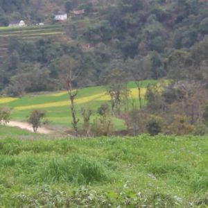 ‘उत्पादन साथमा, अनुदान हातमा’ कार्यक्रम घोषणा