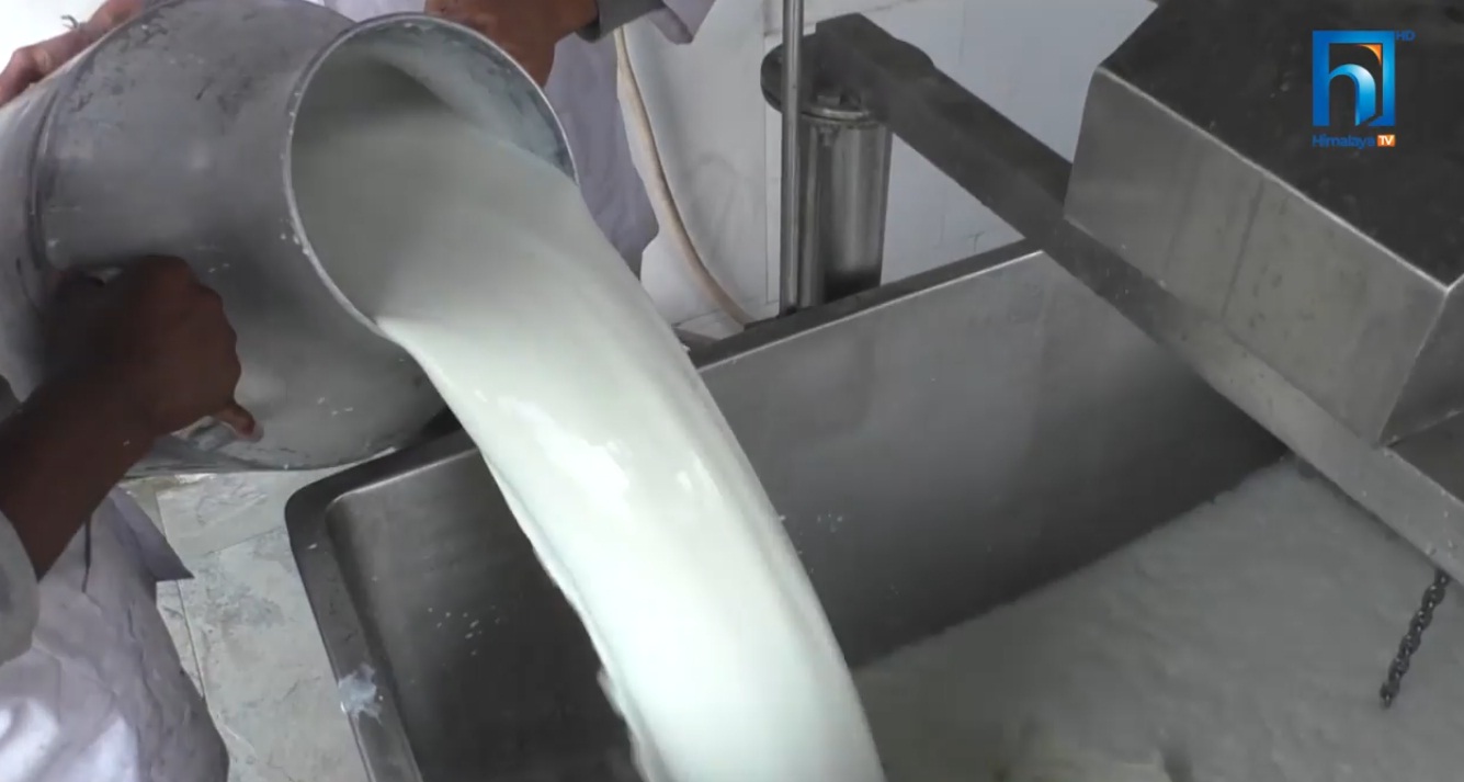 चितवन मिल्क  तङ्ग्रिँदै : दैनिक एक लाख लिटर दूध प्रशोधन