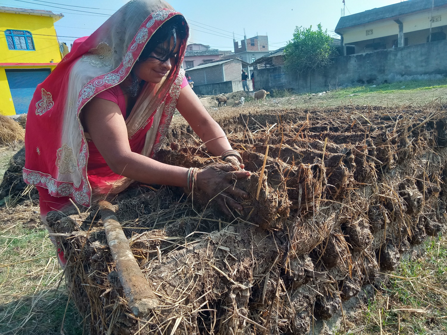 इन्धनका लागि ‘गुइँठा’