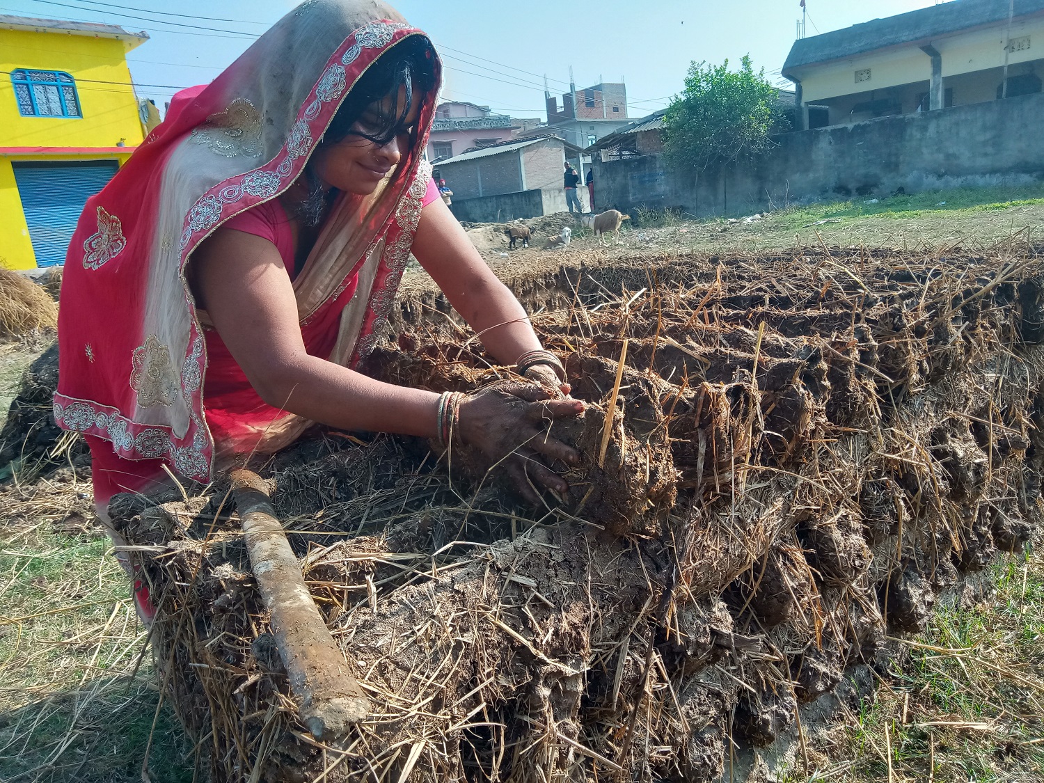 इन्धनका लागि  ‘गुइँठा’