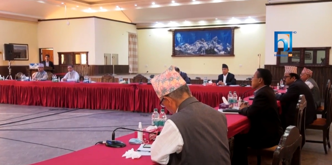 स्थानीय तह निर्वाचनका लागि यस्तो छ कांग्रेसको तयारी (भिडियो रिपोर्टसहित)