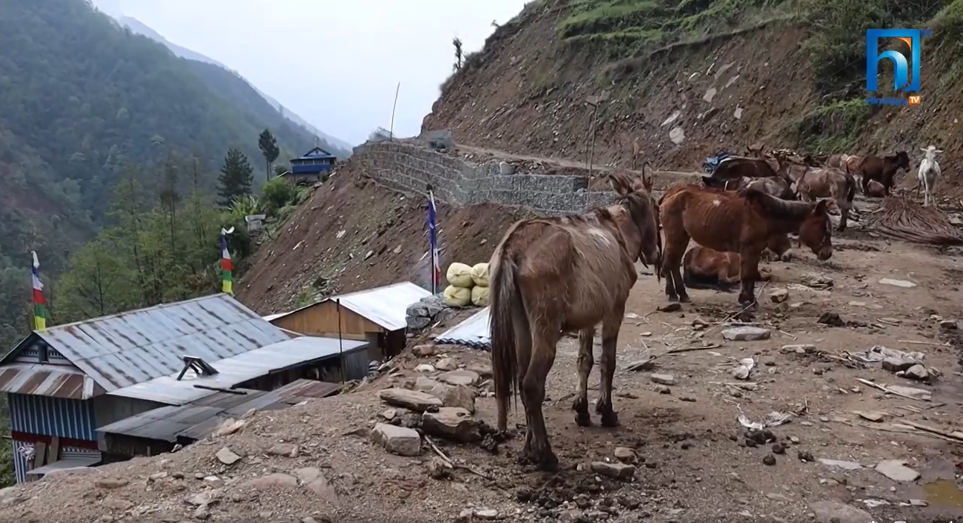 ओलाङचुङ्गोलाका स्थानीय अझै पनि कहिले मोटर गुड्ला भन्ने आशामा (भिडियो रिपोर्टसहित)