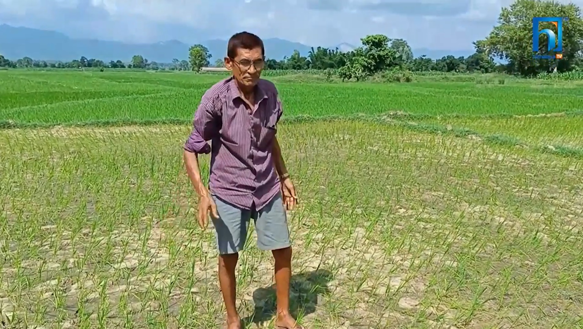 सिक्टाको पूर्वी नहरमा पानी, किसानको चिन्ता बदलियो खुसीमा (भिडियो रिपोर्टसहित)