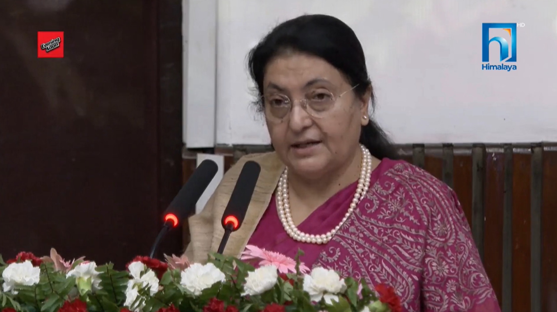 पर्वतीय र समुद्री टापु राष्ट्रको हितका लागि अझै पर्याप्त अन्तर्राष्ट्रिय कानुन बन्न बाँकीः राष्ट्रपति