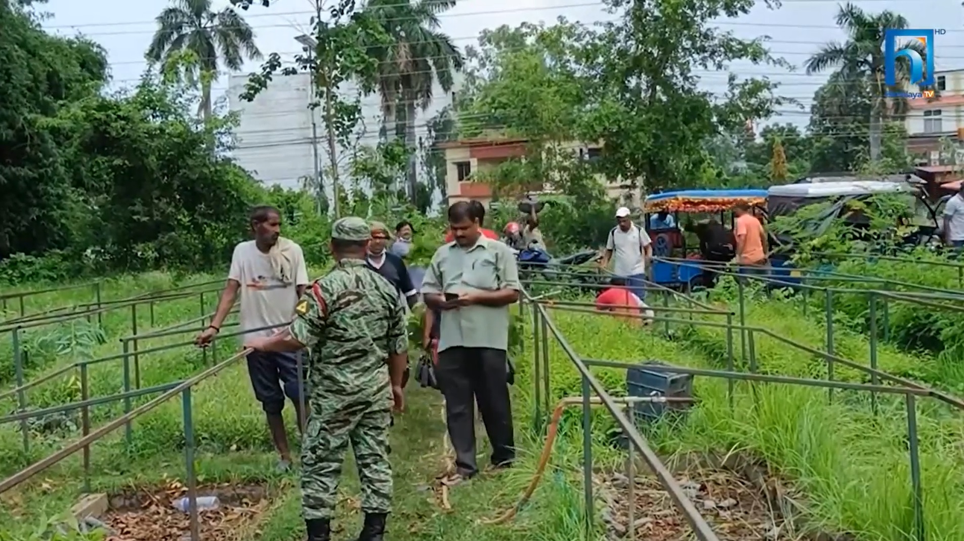 बाँकेमा रुख खेती गर्ने किसानको संख्या बढ्दो (भिडियो रिपोर्टसहित)