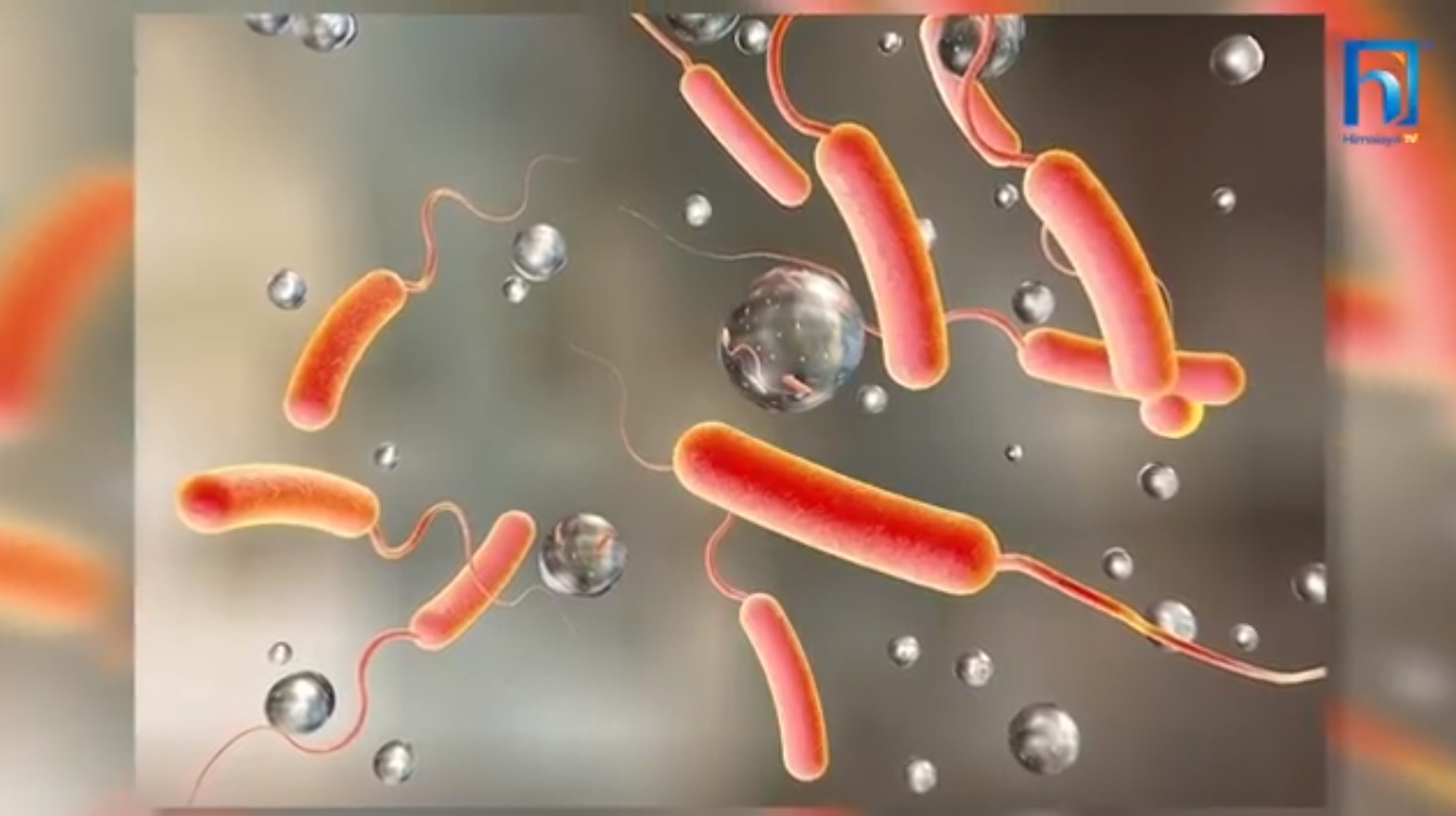 हैजाको संक्रमण: विशेषज्ञ भन्छन् महामारीको खतरा टरेको छैन (भिडियो रिपोर्टसहित)
