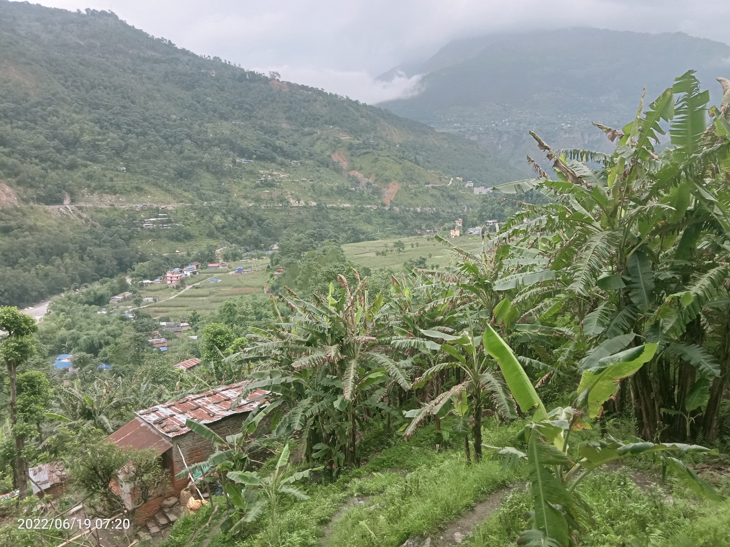 केरा खेतीले फेरियो जिन्दगी