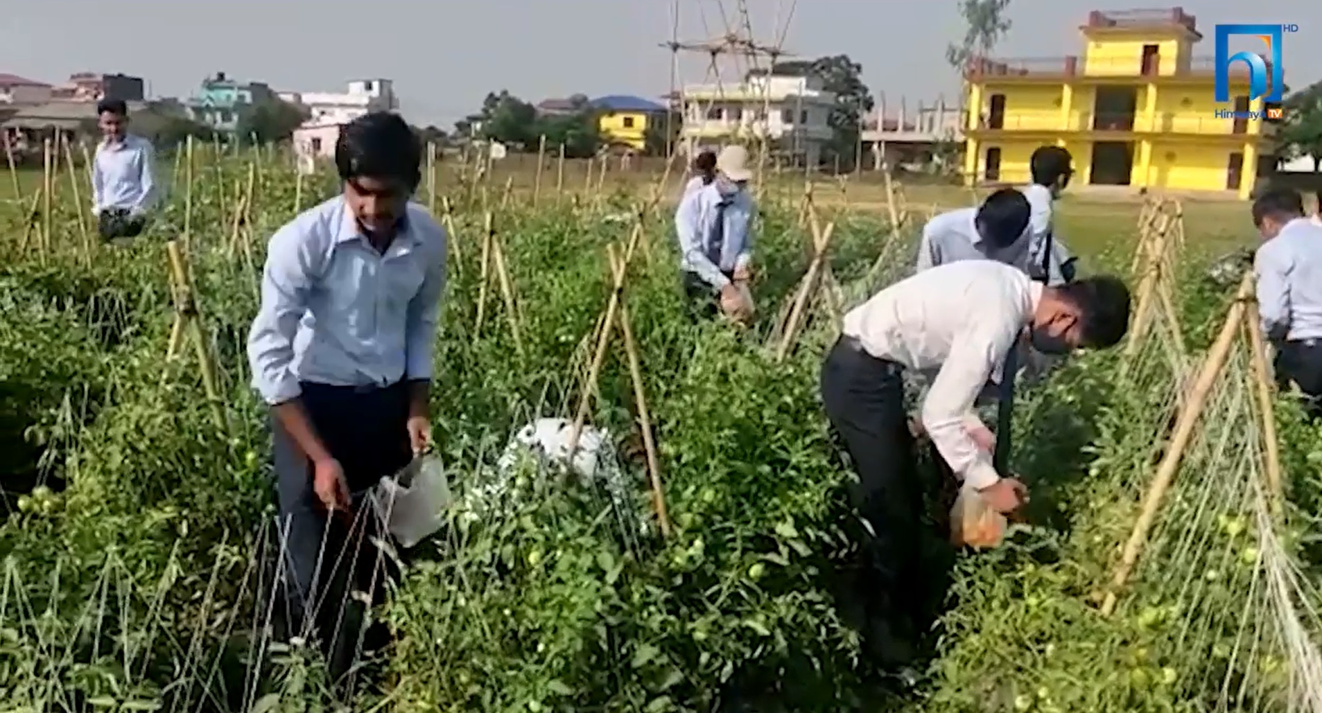 यस्तो विद्यालय जहाँ विद्यार्थीलाई दिइन्छ प्रयोगात्मक ज्ञान (भिडियो रिपोर्टसहित)