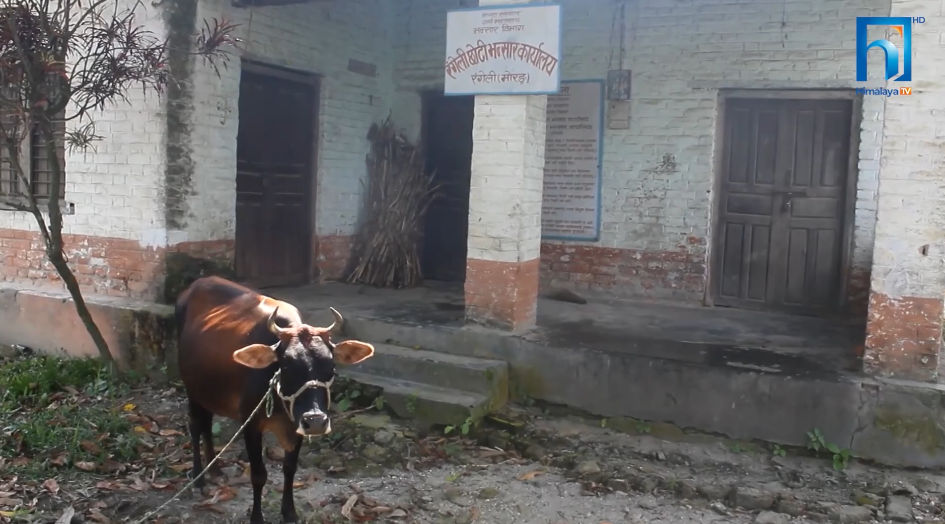 कर्मचारी र पूर्वाधार नहुँदा छोटी भन्सार कार्यालय अस्तव्यस्त (भिडियो रिपोर्टसहित)