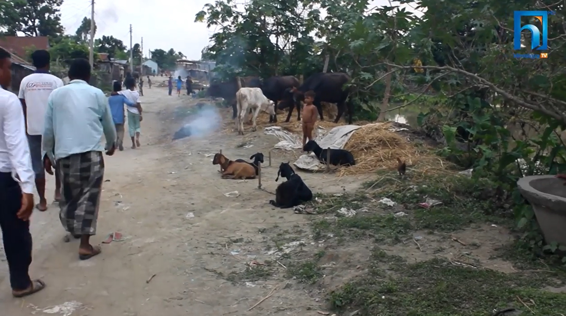 बत्तीमुनिको अँध्यारोमा सुनसरीको मुस्लिम बस्ती (भिडियो रिपोर्टसहित)