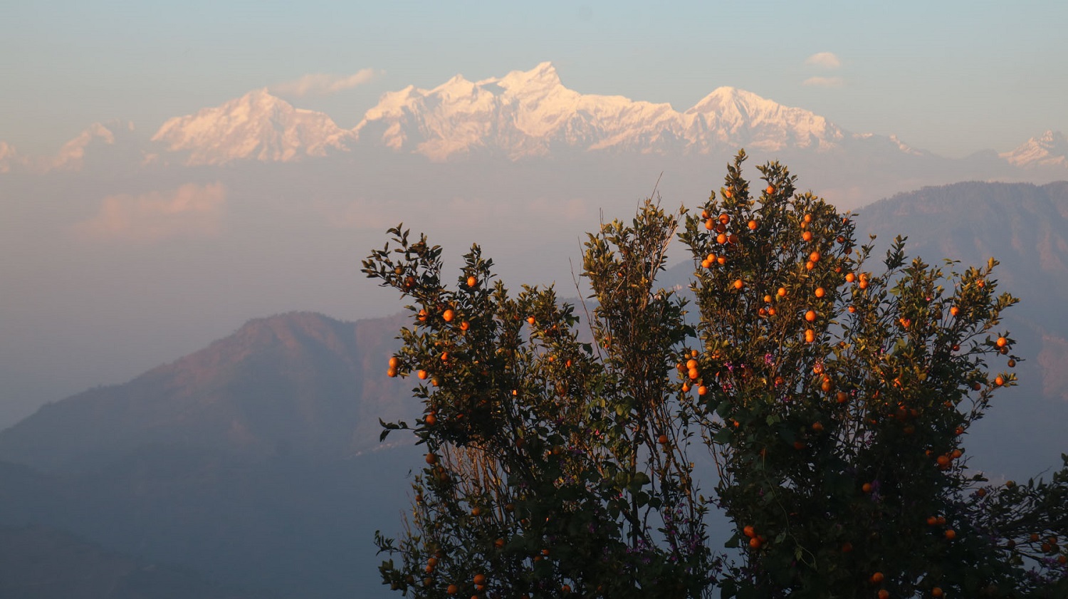 पर्यटकीय गन्तव्य बन्दै पामडाँडा