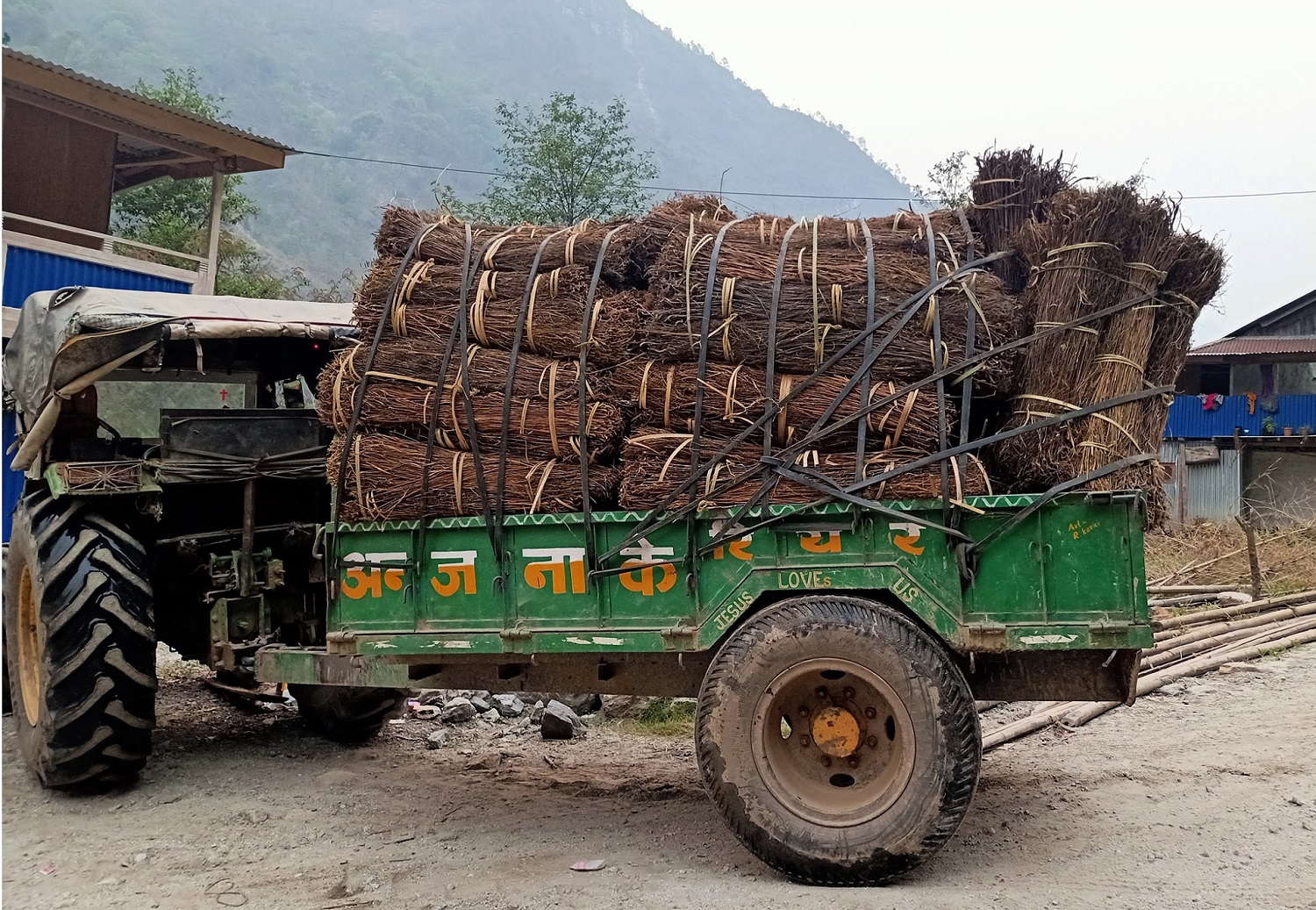 चिराइतोको माग बढ्दो, उत्पादन घट्दो