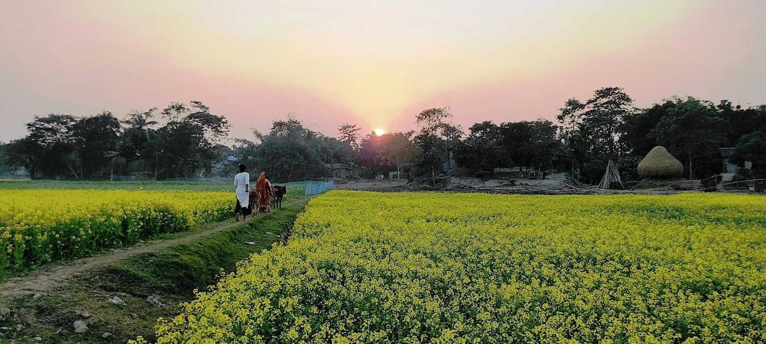 आसामभित्रको नेपाल : हटेन गोठाले दुःख, तैपनि जोगाएकै छन् पुर्ख्यौली संस्कृति