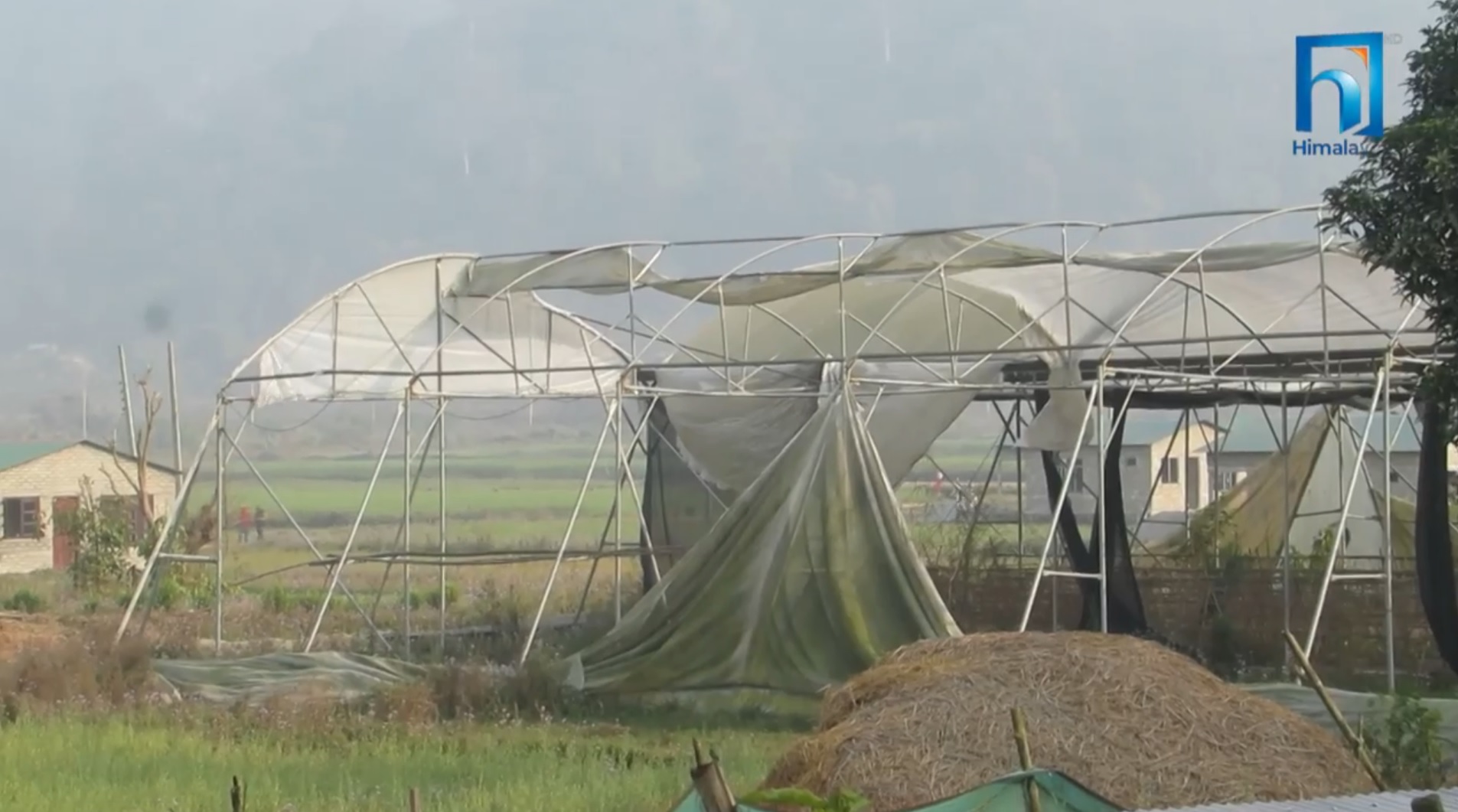 बागमती प्रदेश : कृषि अनुदानको चरम दुरुपयोग, करोडौँ रूपैयाँ बालुवामा पानी (भिडियो रिपोर्टसहित)