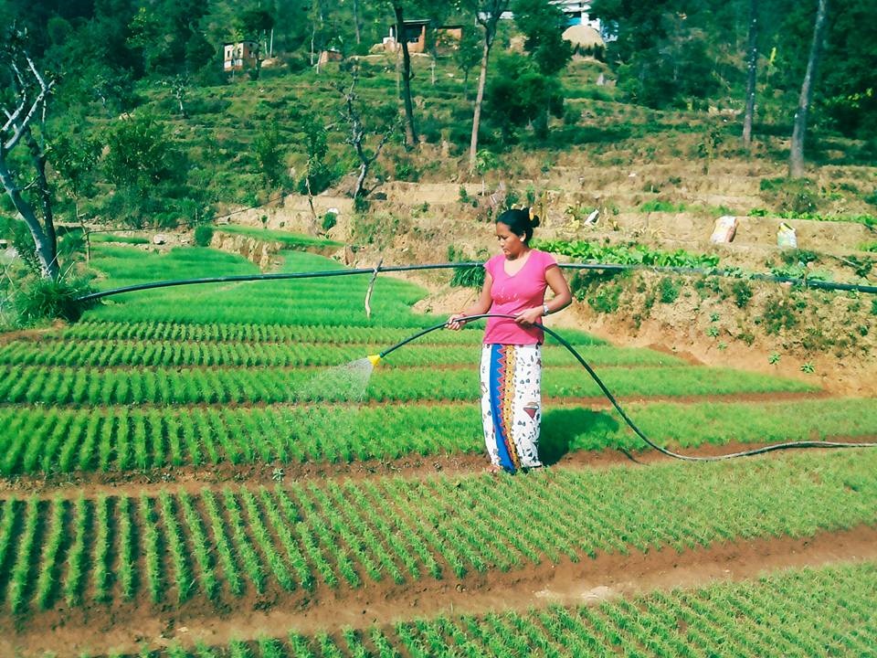 कृषि गाउँकी सङ्घर्षशील लक्ष्मी