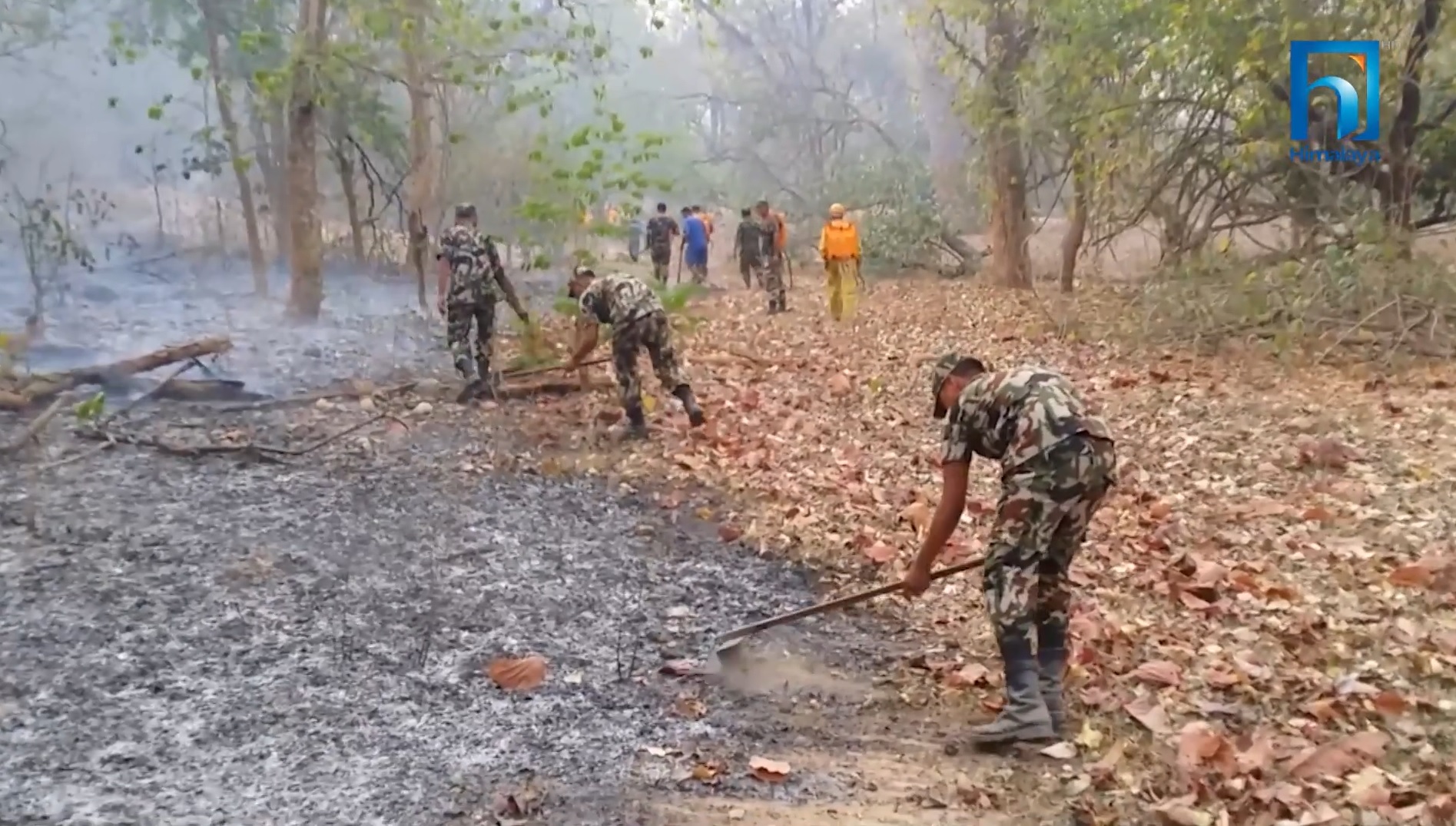 वन डढेलोका घटनालाई न्यूनीकरण गर्न बाँकेमा यस्तो पहल (भिडियो रिपोर्टसहित)