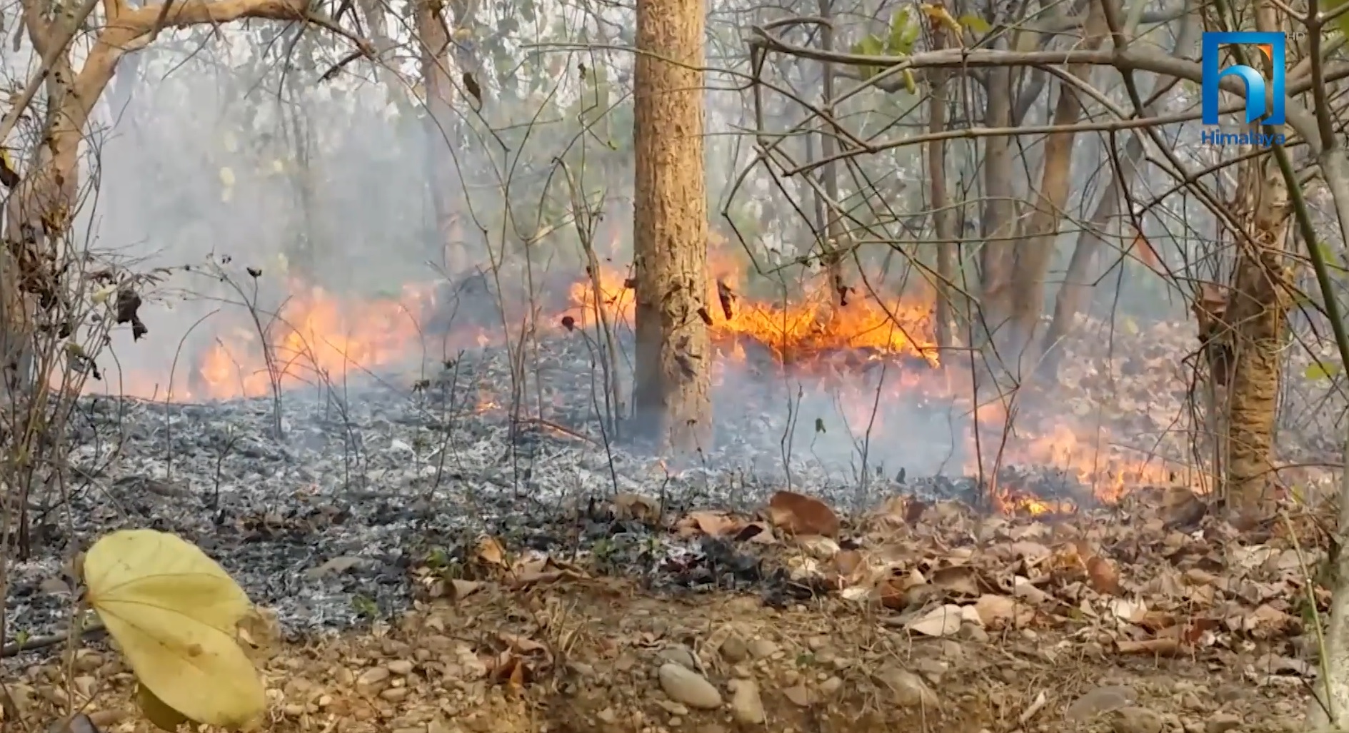 अबको जोखिम : आगलागी, डढेलो, हावाहुरी र चट्याङ